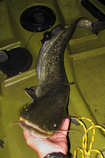 foto/diskuze/z_lovu/2012/th-img49706.jpg