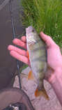 foto/diskuze/z_lovu/2012/th-img49738.jpg