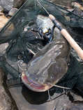 foto/diskuze/z_lovu/2012/th-img49746.jpg