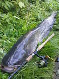 foto/diskuze/z_lovu/2012/th-img49796.jpg