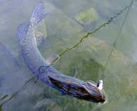 foto/diskuze/z_lovu/2012/th-img49815.jpg