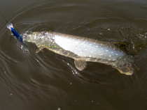 foto/diskuze/z_lovu/2012/th-img49827.jpg