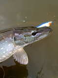 foto/diskuze/z_lovu/2012/th-img49828.jpg