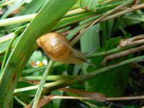 foto/diskuze/z_lovu/2012/th-img49835.jpg