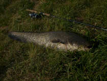 foto/diskuze/z_lovu/2012/th-img49851.jpg