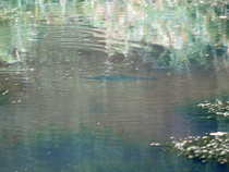 foto/diskuze/z_lovu/2012/th-img49898.jpg