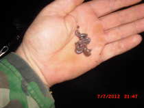 foto/diskuze/z_lovu/2012/th-img49946.jpg