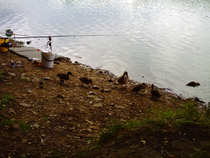 foto/diskuze/z_lovu/2012/th-img49970.jpg