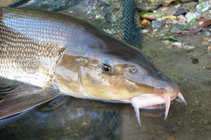 foto/diskuze/z_lovu/2012/th-img49988.jpg