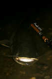 foto/diskuze/z_lovu/2012/th-img49990.jpg