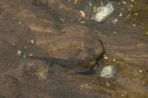 foto/diskuze/z_lovu/2012/th-img49993.jpg