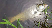 foto/diskuze/z_lovu/2012/th-img49997.jpg
