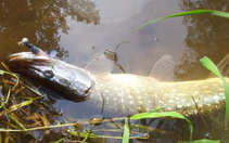 foto/diskuze/z_lovu/2012/th-img49998.jpg