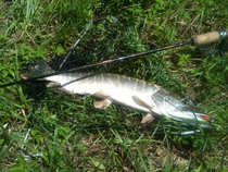 foto/diskuze/z_lovu/2012/th-img50001.jpg