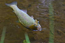 foto/diskuze/z_lovu/2012/th-img50008.jpg