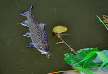 foto/diskuze/z_lovu/2012/th-img50010.jpg