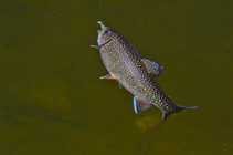 foto/diskuze/z_lovu/2012/th-img50011.jpg