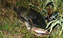 foto/diskuze/z_lovu/2012/th-img50033.jpg