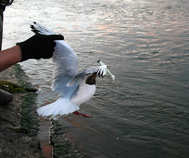 foto/diskuze/z_lovu/2012/th-img50034.jpg
