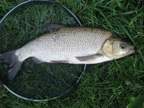 foto/diskuze/z_lovu/2012/th-img50041.jpg