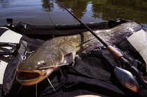 foto/diskuze/z_lovu/2012/th-img50046.jpg