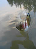 foto/diskuze/z_lovu/2012/th-img50069.jpg