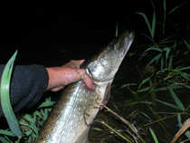 foto/diskuze/z_lovu/2012/th-img50078.jpg