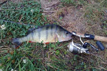 foto/diskuze/z_lovu/2012/th-img50088.jpg