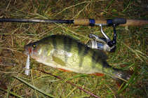 foto/diskuze/z_lovu/2012/th-img50089.jpg