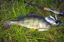 foto/diskuze/z_lovu/2012/th-img50090.jpg