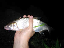 foto/diskuze/z_lovu/2012/th-img50092.jpg