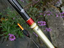 foto/diskuze/z_lovu/2012/th-img50133.jpg