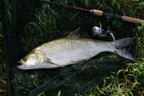 foto/diskuze/z_lovu/2012/th-img50145.jpg