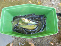 foto/diskuze/z_lovu/2012/th-img50147.jpg