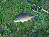 foto/diskuze/z_lovu/2012/th-img50155.jpg