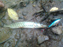 foto/diskuze/z_lovu/2012/th-img50166.jpg