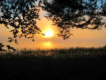 foto/diskuze/z_lovu/2012/th-img50232.jpg