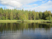 foto/diskuze/z_lovu/2012/th-img50233.jpg