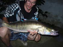foto/diskuze/z_lovu/2012/th-img50250.jpg