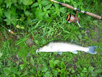 foto/diskuze/z_lovu/2012/th-img50264.jpg
