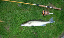 foto/diskuze/z_lovu/2012/th-img50265.jpg