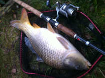 foto/diskuze/z_lovu/2012/th-img50288.jpg