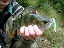 foto/diskuze/z_lovu/2012/th-img50289.jpg
