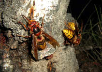 foto/diskuze/z_lovu/2012/th-img50290.jpg
