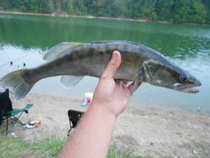 foto/diskuze/z_lovu/2012/th-img50313.jpg