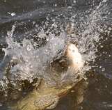 foto/diskuze/z_lovu/2012/th-img50321.jpg