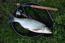 foto/diskuze/z_lovu/2012/th-img50348.jpg
