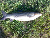 foto/diskuze/z_lovu/2012/th-img50394.jpg
