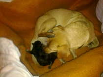foto/diskuze/z_lovu/2012/th-img50401.jpg