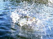 foto/diskuze/z_lovu/2012/th-img50409.jpg